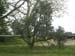 2ndever (6)