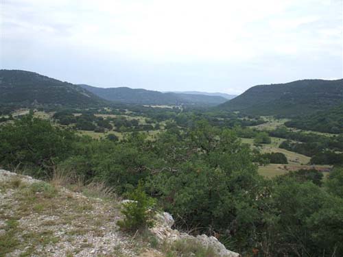 DSCF2139