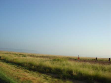 DSC01602