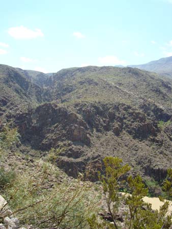 DSC01660