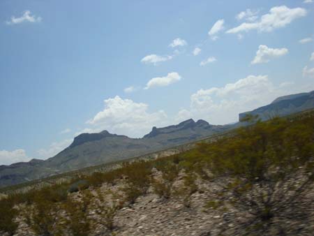 DSC01664