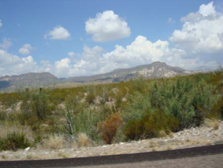 DSC01666