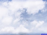 100 3142