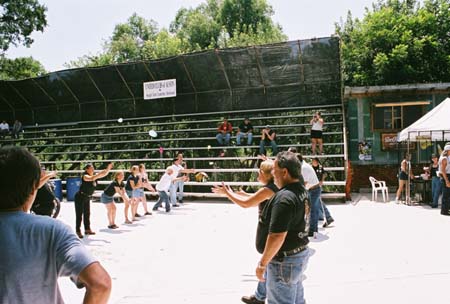 ss3 (12)